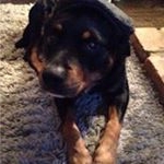 Profile Picture of Lynn Mansell (@manselllynn) on Instagram