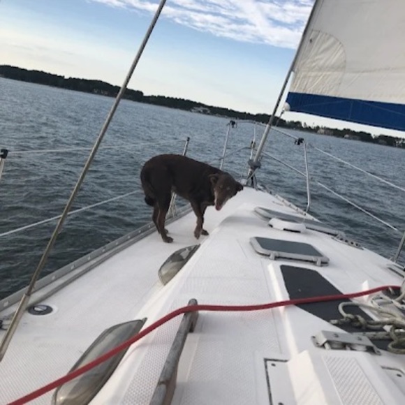 Profile Picture of Liam Dyer (@ljdtnt) on Poshmark