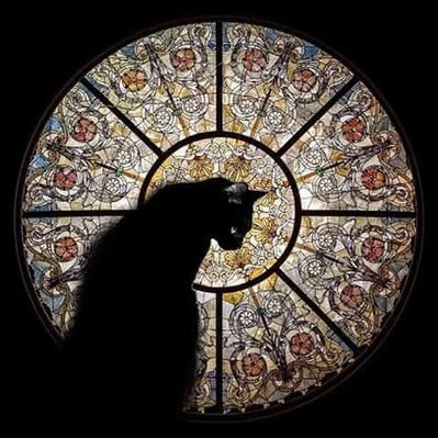 Profile Picture of Iván Huizar (@IvnHuizar2) on Twitter