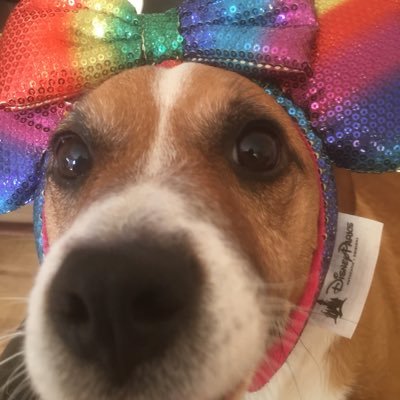 Profile Picture of Steven Jeffs (@Jeffs77Steven) on Twitter