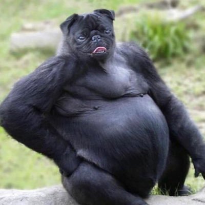 Profile Picture of John D Fussell (@JohnDFussell1) on Twitter