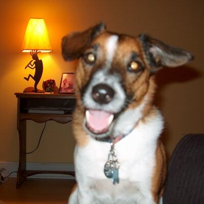 Profile Picture of Sabrina Peters (@brinapeters) on Twitter