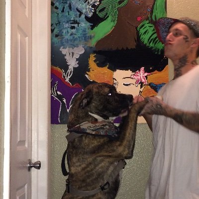 Profile Picture of Forrest Higgins (@ForrestHiggins7) on Twitter