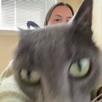 Profile Picture of stephanie woo (@wootangytang) on Instagram