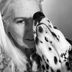 Profile Picture of Dawn Worley (@dawn.worley) on Instagram