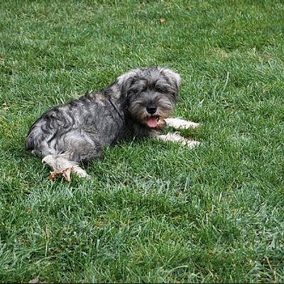 Profile Picture of Marissa Hansen (@RissyLHansen) on Twitter