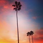 Profile Picture of Scott Salter (@fatkat101) on Instagram
