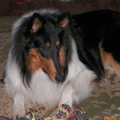 Profile Picture of Jo Harr (@5Colnight) on Youtube