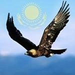 Profile Picture of Thomasena Worden (@thomasenaworden) on Instagram