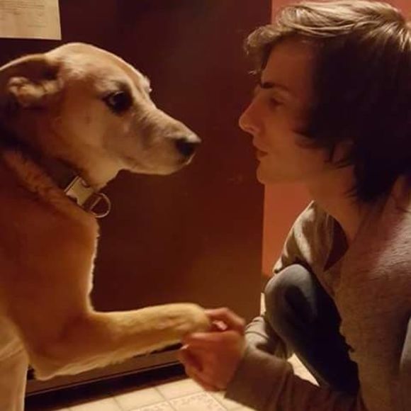 Profile Picture of Chris Fallon (@chrisfallon) on Poshmark