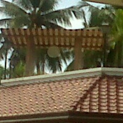 Profile Picture of John Paul Almonte (@JohnpaulAlmonte) on Twitter