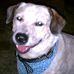 Profile Picture of Doug Branch (@doug.branch.520) on Facebook