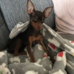 Profile Picture of Sandra Pettersson (@meandmypk) on Instagram