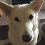 Profile Picture of David Redburn (@davidredburn) on Instagram