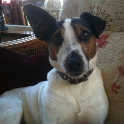 Profile Picture of Vicky O Reilly (@107dominic) on Twitter