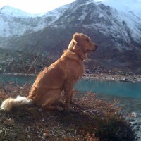 Profile Picture of Kevin Boots (@kevin-boots-5) on Quora
