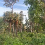 Profile Picture of James Hirsch (@james.hirsch.230047) on Facebook