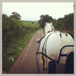 Profile Picture of Phillips Tommie (@mewfunnytin) on Instagram