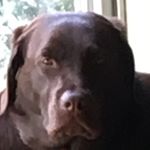 Profile Picture of Colin McGovern (@somerandomporcupine) on Instagram