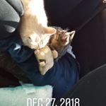 Profile Picture of Koda James Trinkle (@koda_trinkle) on Instagram