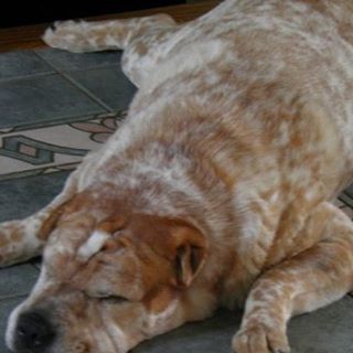 Profile Picture of Alex Ochman (@alex.ochman.3) on Facebook