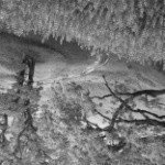 Profile Picture of darcy (@lavernaneilson18) on Instagram