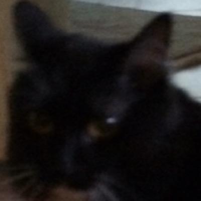 Profile Picture of Gavin Driscoll (@thinsaneman) on Twitter