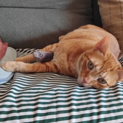 Profile Picture of Soul Reaver. (@DavidRubioFer) on Twitter