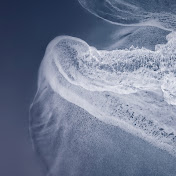 Profile Picture of Krishna Acharya  (@rosie_xenia) on Youtube