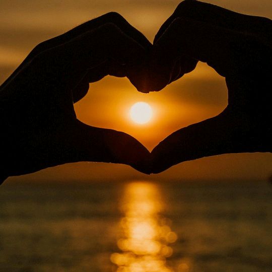 Profile Picture of Mark filmer (@sparkyboi6) on Tiktok