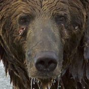 Profile Picture of James Shank (@jamesshank6343) on Youtube