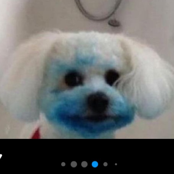 Profile Picture of Milo Lambertson (@milobeck) on Poshmark
