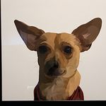 Profile Picture of Tiger Jeff (@tigerjeff_) on Instagram