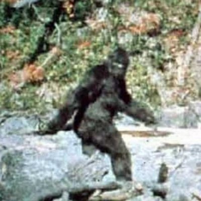 David Goossens - Twitter Profile Picture of David Goossens (@DavidGoossens18) on Twitter