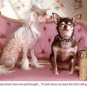 Profile Picture of Debbie Jarrett Beauchamp (@ddebutante) on Myspace