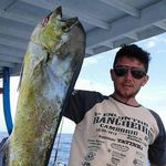 Profile Picture of Angelo Severino (@severino.angelo) on Instagram