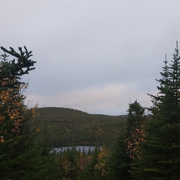 Profile Picture of Cassandra Barnes (@cbarnes709) on Poshmark