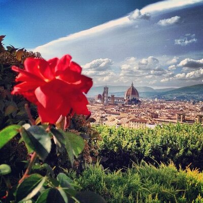 Profile Picture of Nila Celiku (@NilaCeliku) on Twitter
