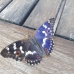 Christine Chmielewski - Facebook Profile Picture of Christine Chmielewski (@Christine-Chmielewski) on Facebook