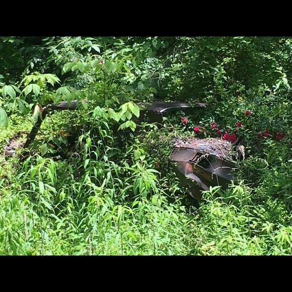 Profile Picture of Pauletta Thompson (@paulettat) on Poshmark