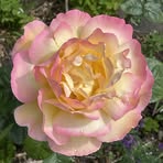 Profile Picture of Cheryl Brain (@Cheryl-Brain) on Facebook