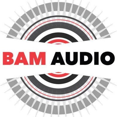 Profile Picture of Mike Beaubien (@bamaudio) on Twitter