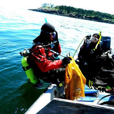 Profile Picture of Nick Jeffery (@MarineBiologee) on Twitter