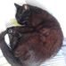 Profile Picture of Catherine Faucher (@catherine.faucher.75) on Facebook