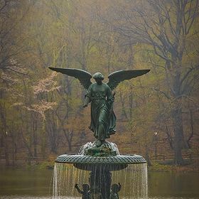 Profile Picture of Cindy Hemmerling (@427t) on Pinterest