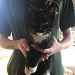 Profile Picture of Barney Boydell (@avabusybea) on Instagram