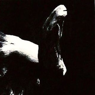 Profile Picture of DAVID BERROCAL (@dberrocalg) on Instagram