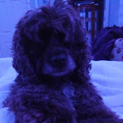 Profile Picture of Gary Quillin  (@Garyquillin3) on Youtube