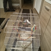 Profile Picture of Ivan Gross (@ivangross5193) on Youtube