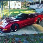 Profile Picture of Scott Truitt (@truittscott) on Instagram